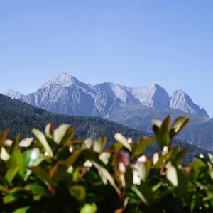 Hotel Luzzago